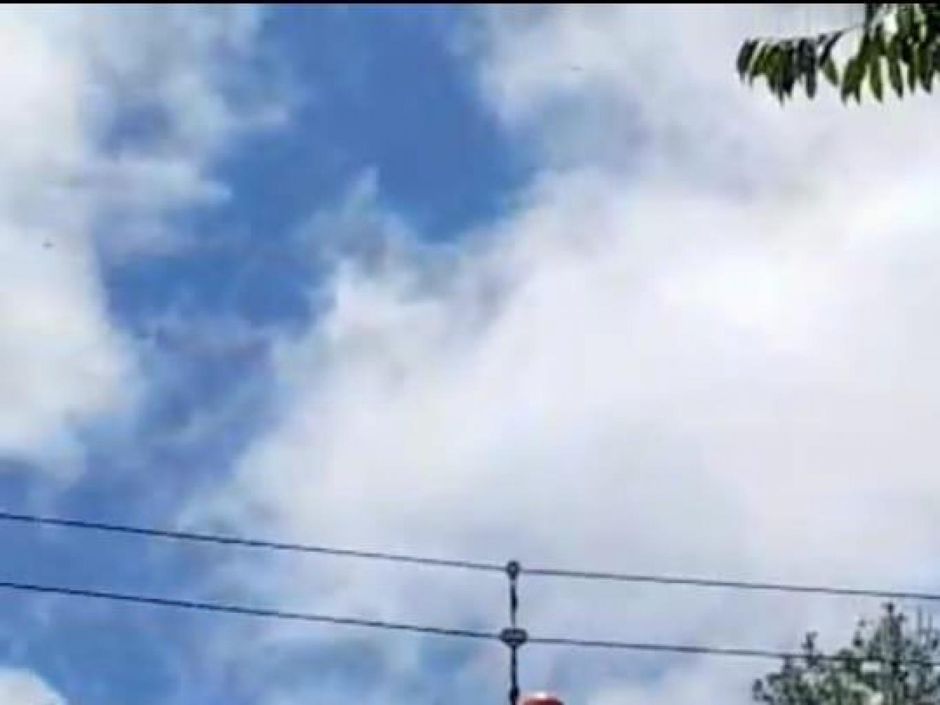 Flying Fox