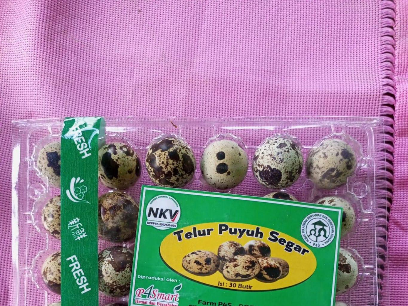 Telur Puyuh Segar