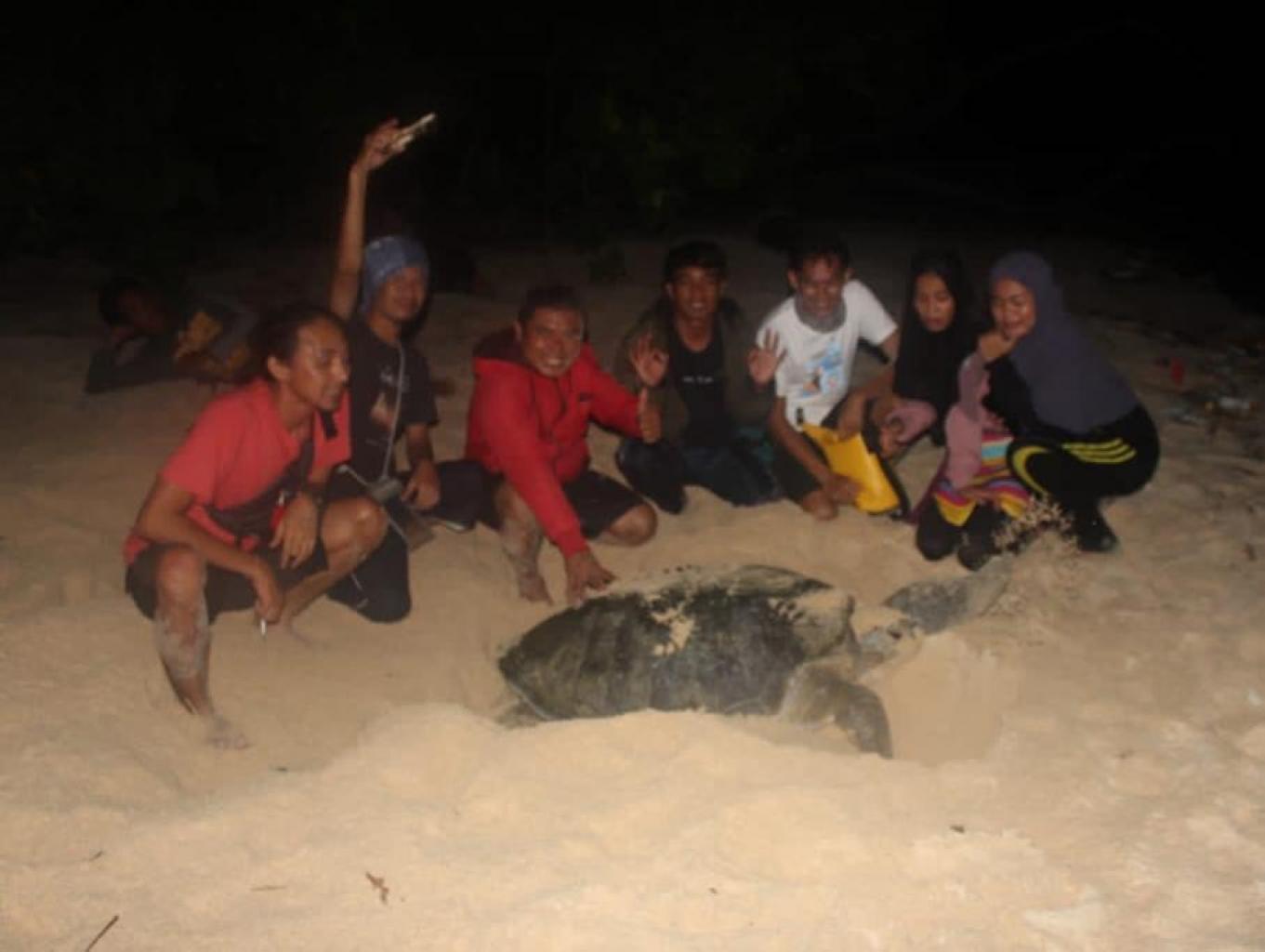 Wisata Edukasi Penyu Bertelur