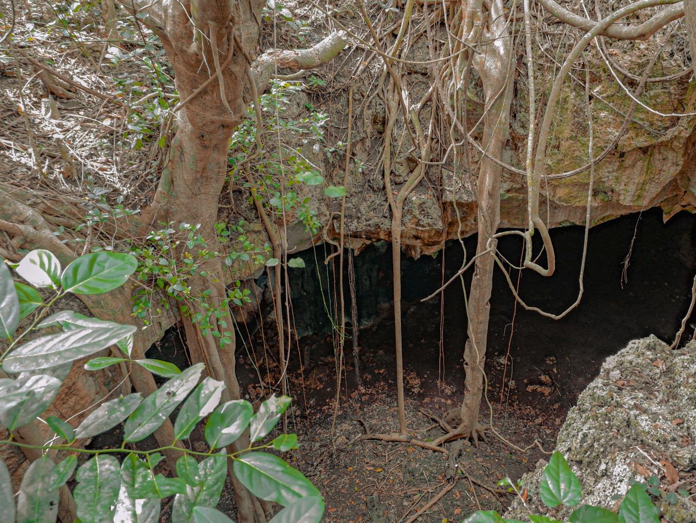 Goa Liang Lintataraia
