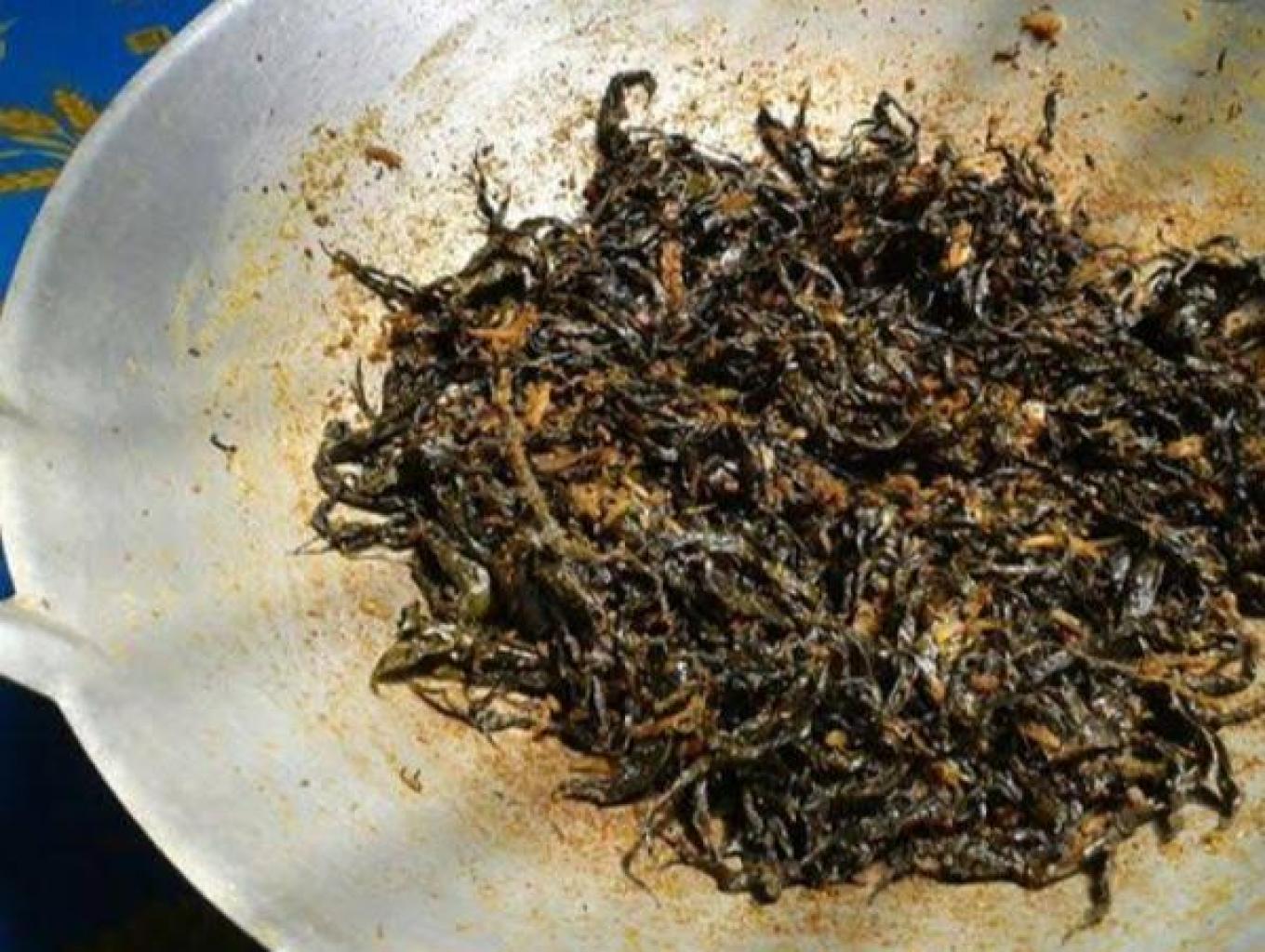 Rendang Pucuk Pakis Dan Maco