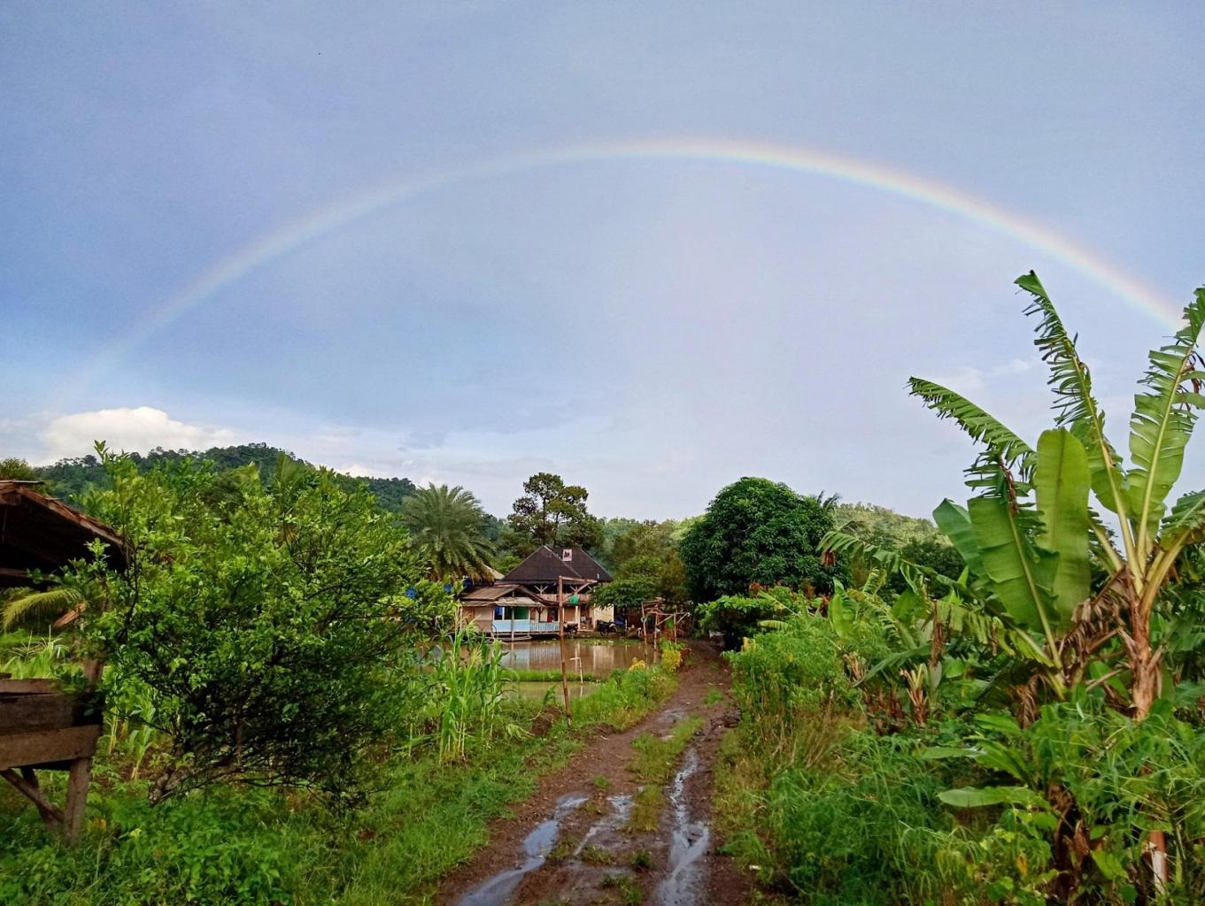 Wisata Edukasi Alam Bukit Lestari