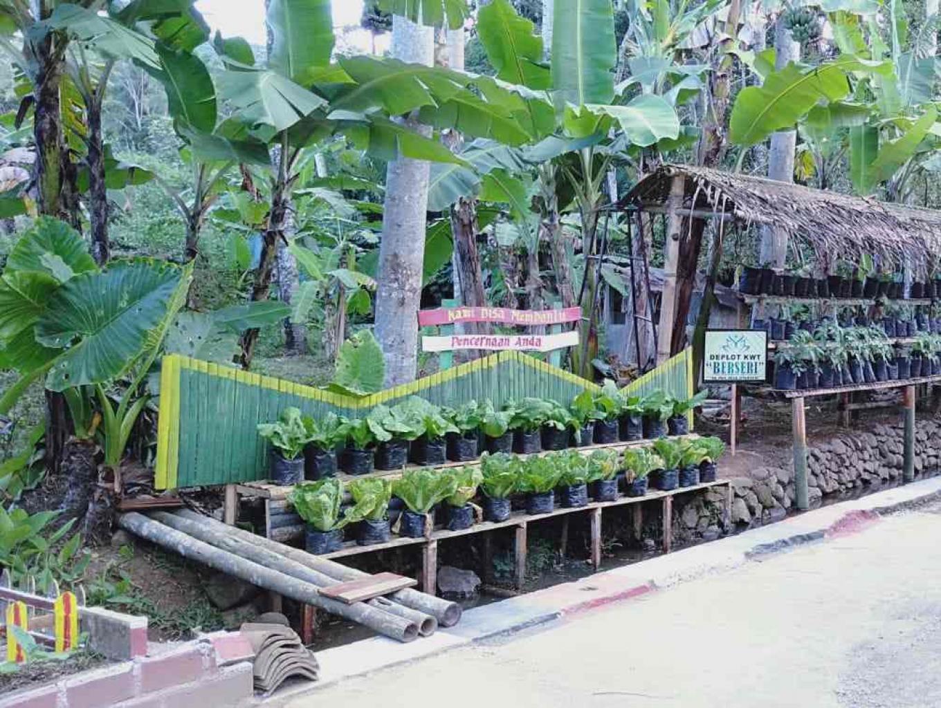 Kampung Tangguh