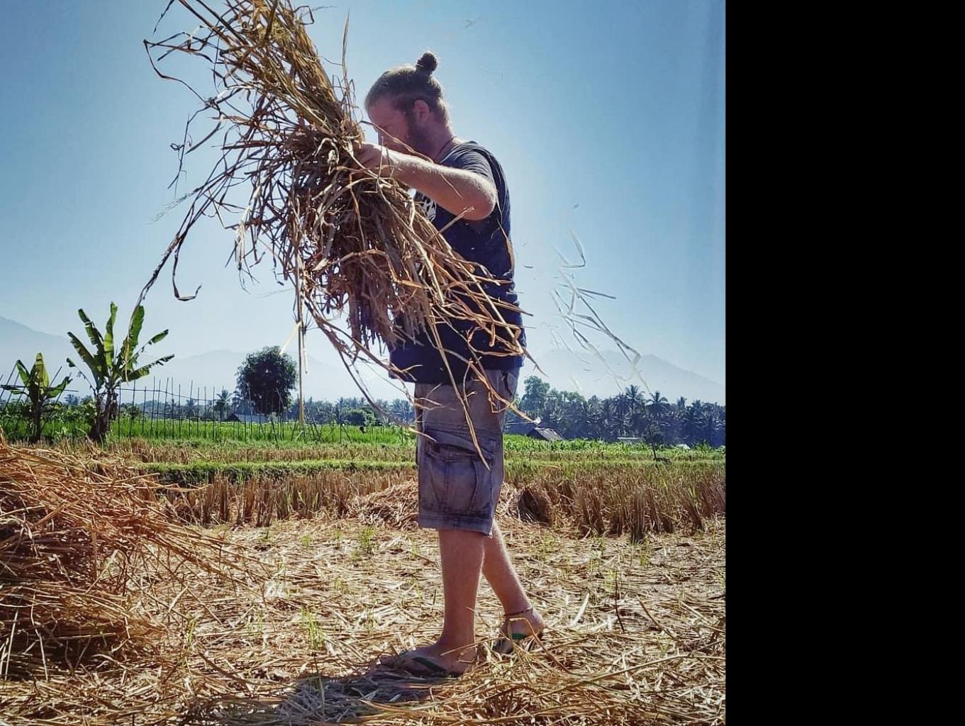 One Day To Be Farmer