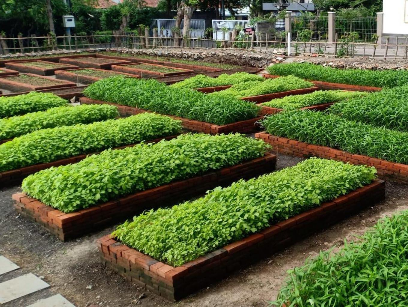 Urban Farming