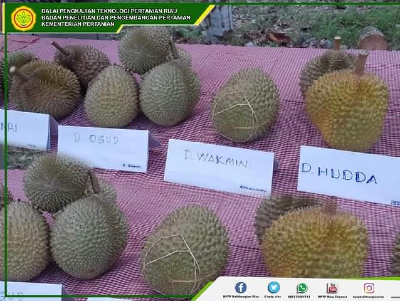 Kampung Durian