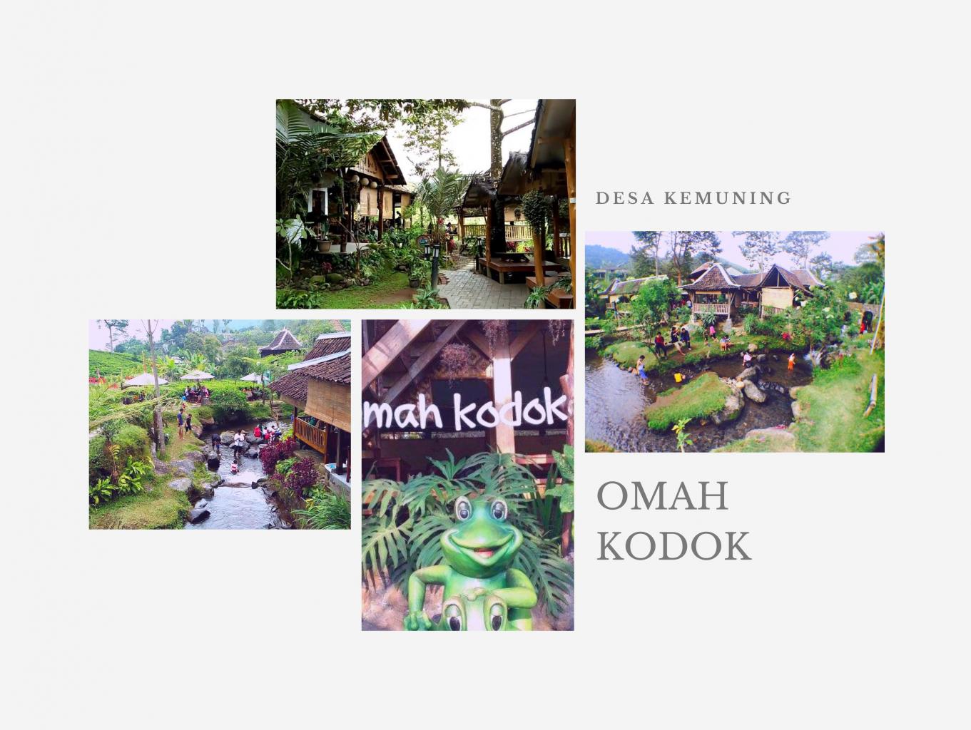 Omah Kodok
