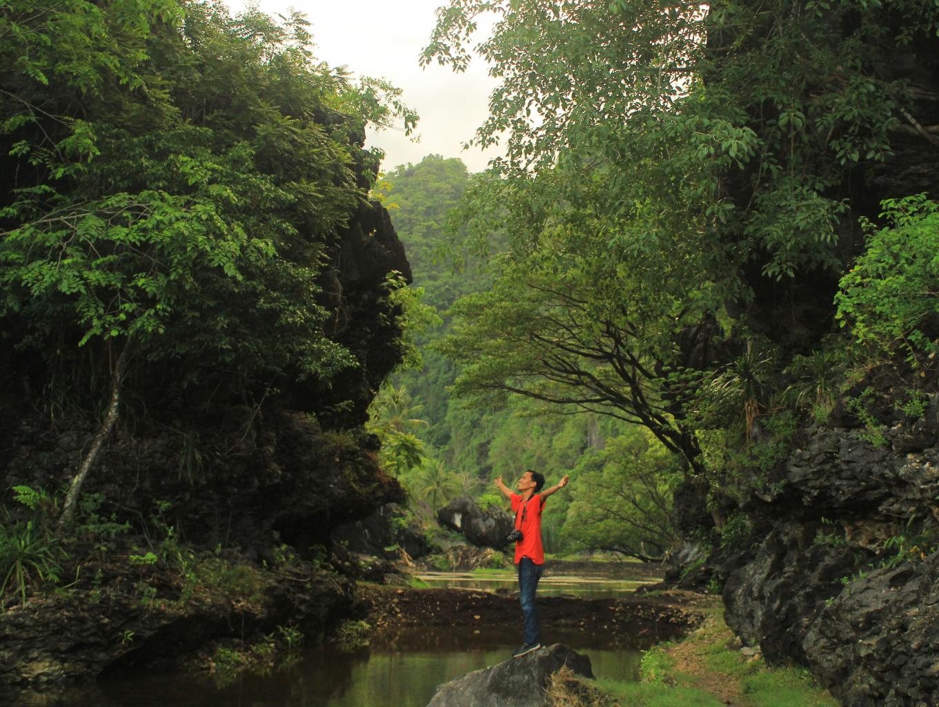 Menikmati Keindahan Alam Di Istana Karst