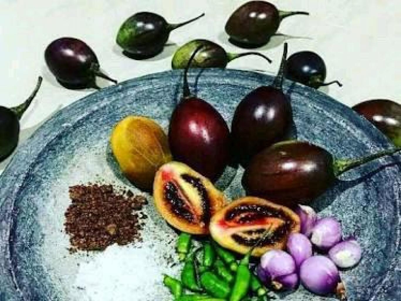 Cecah Gayo