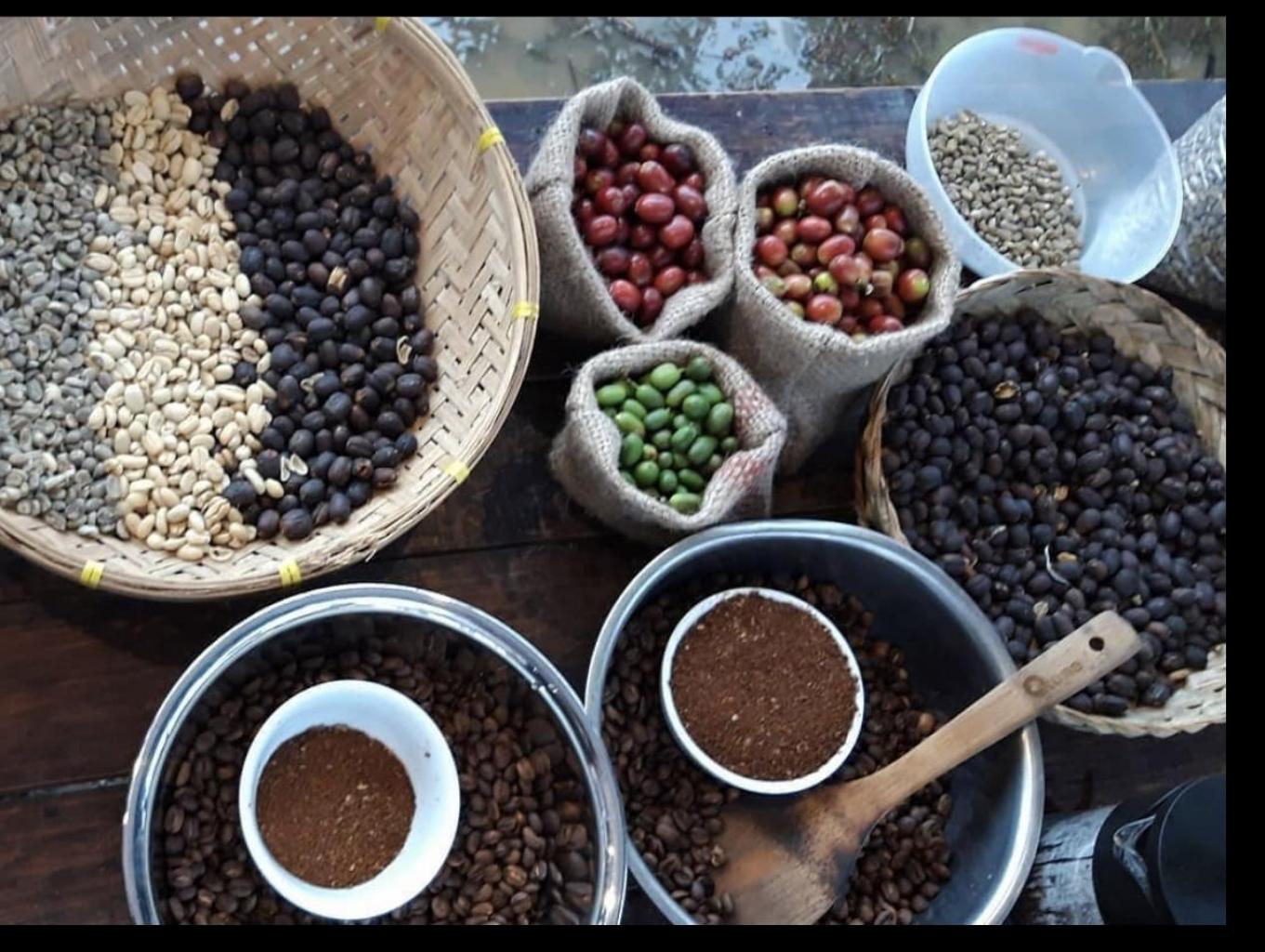Kopi Hitam Burni Telong
