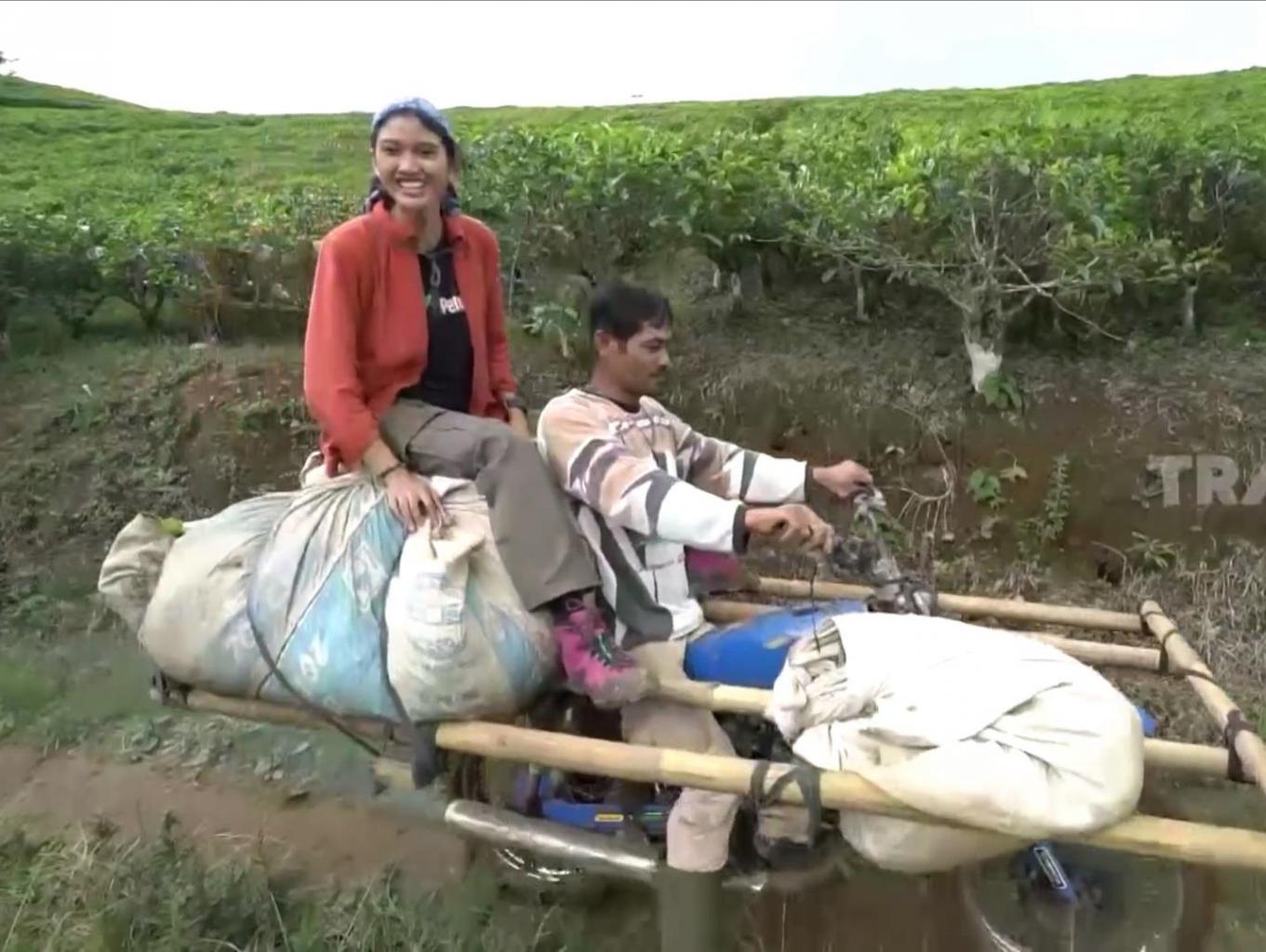 Ojeg Palang