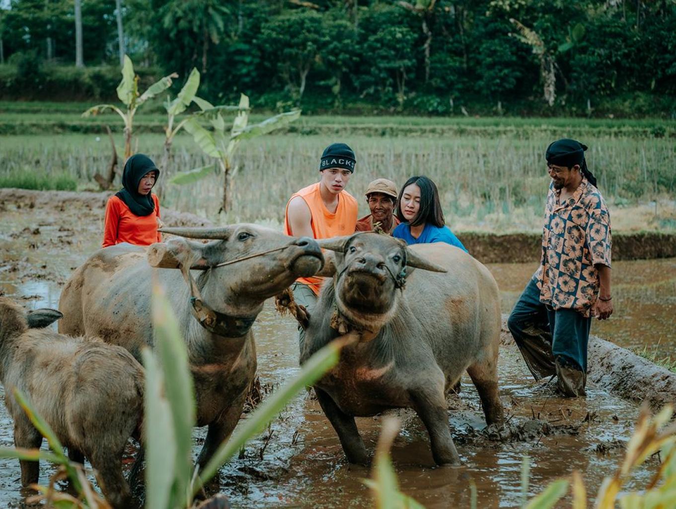 Edukasi Ngawuluku ( Edukasi Bertani )