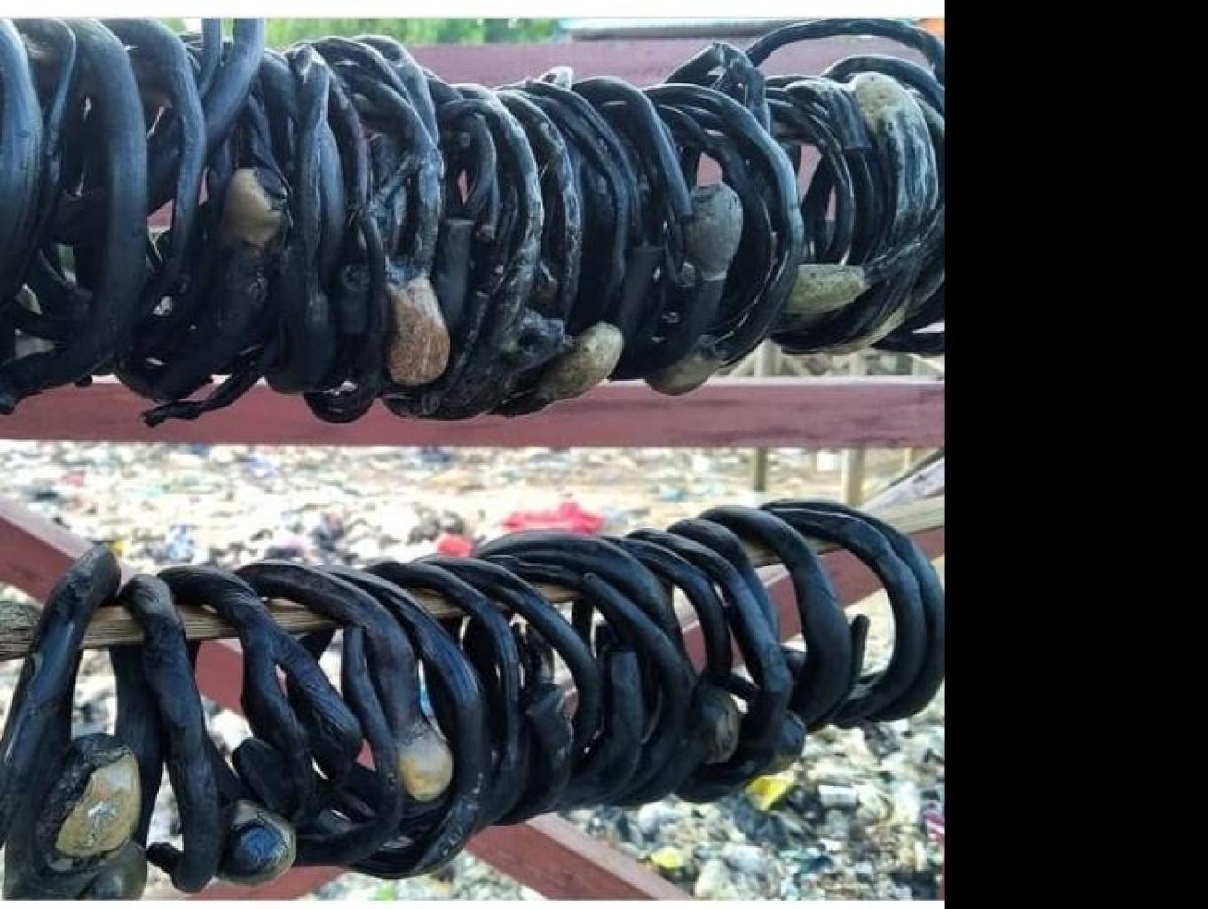 Gelang Akar Bahar