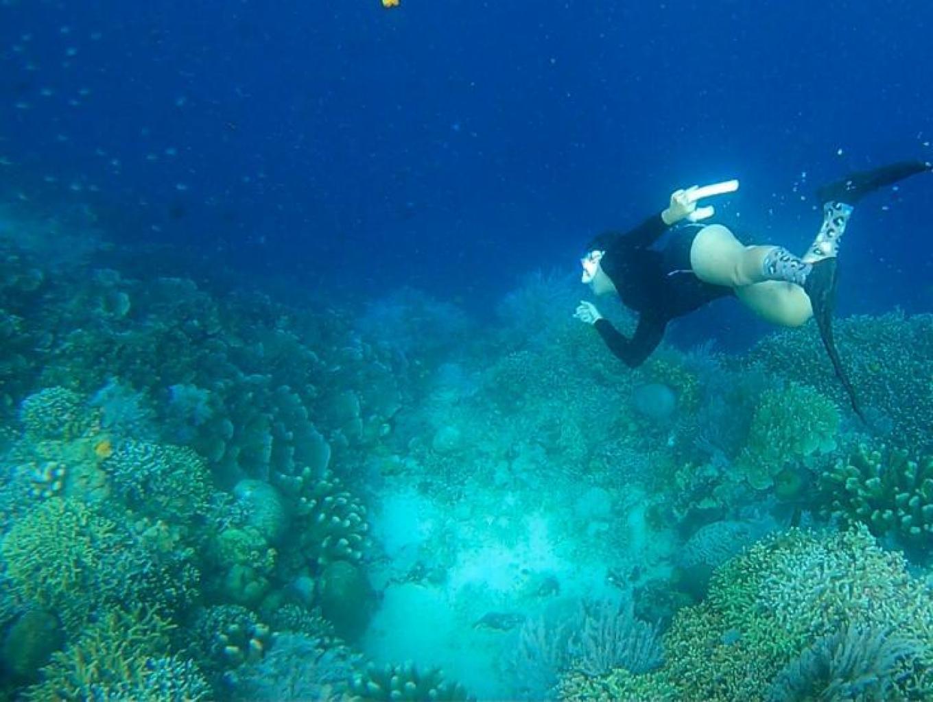 Diving
