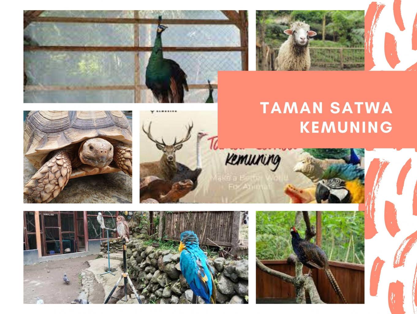Taman Satwa Kemuning