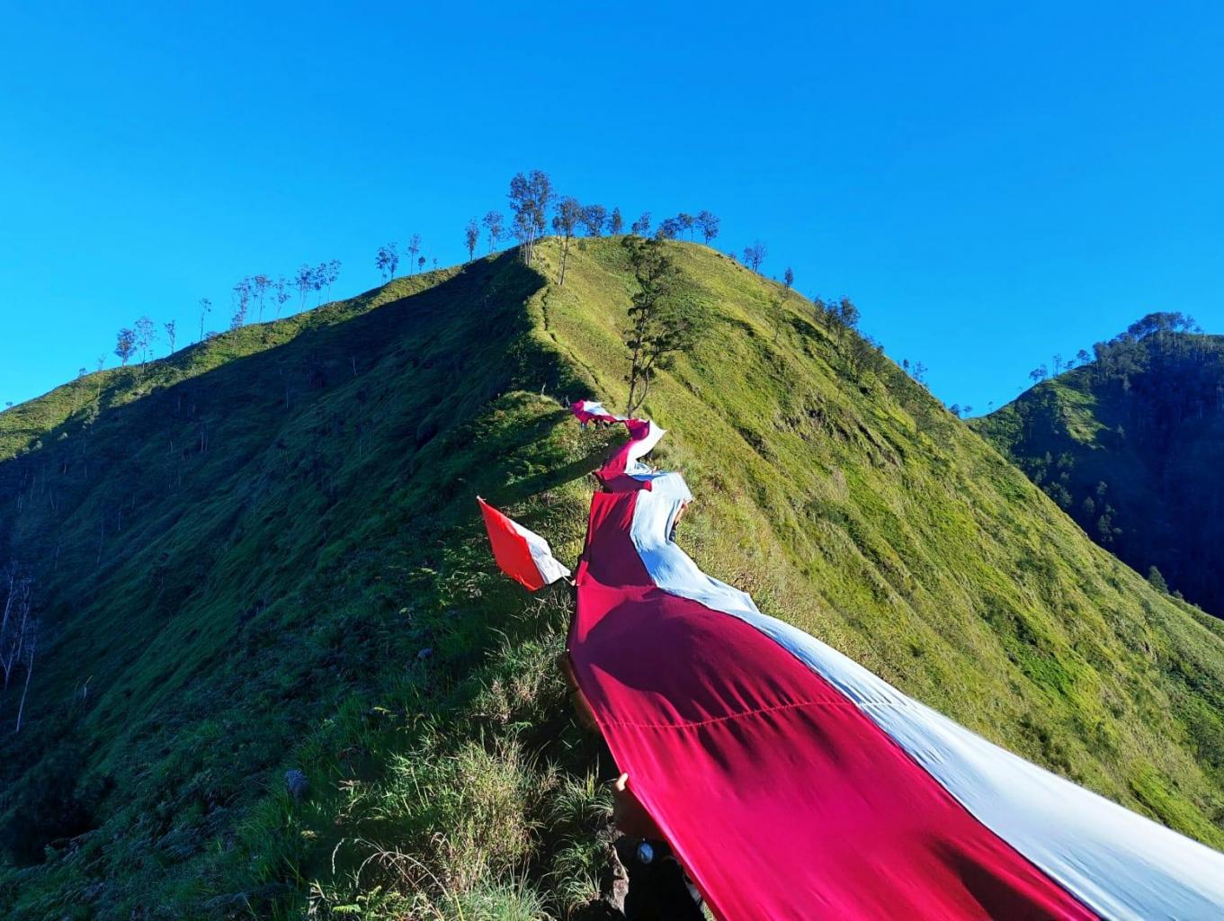 Sumpah Pemuda Bukit Pal Jepang