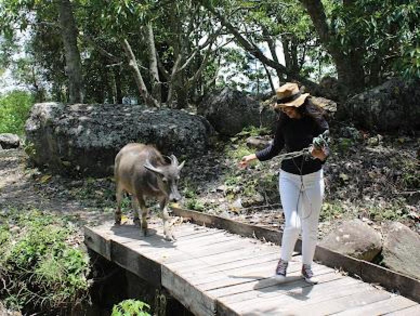 Taman Batu Owek