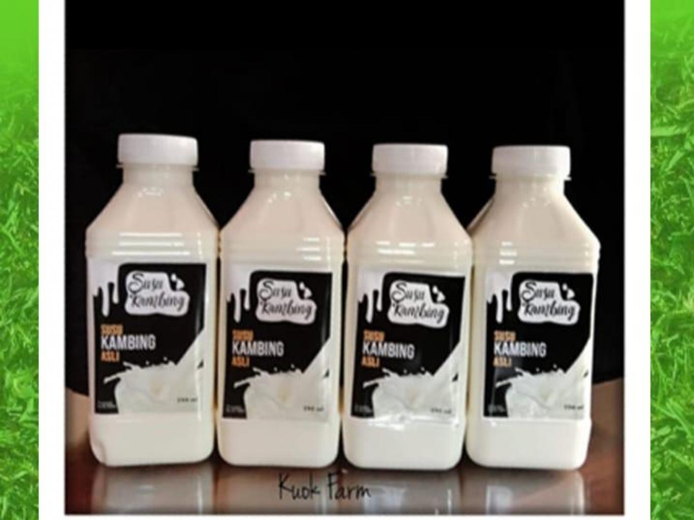 Susu Kambing Asli
