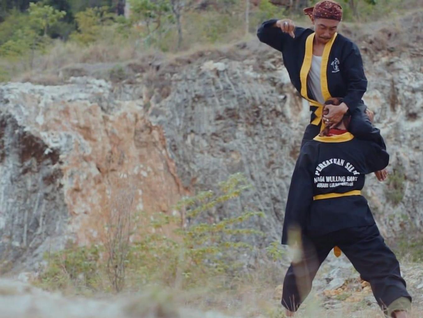 Pencak Silat Naga Wulung