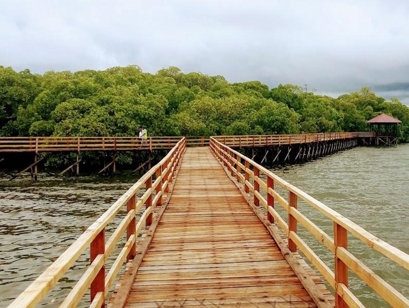 Susur Tracking Mangrove
