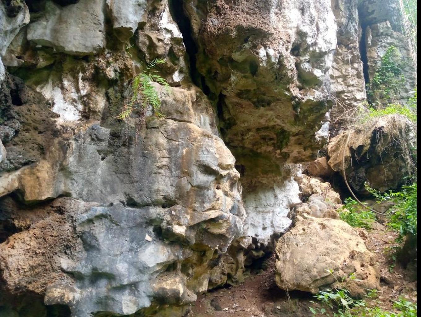 Situs Pasaung Kingkong Stone