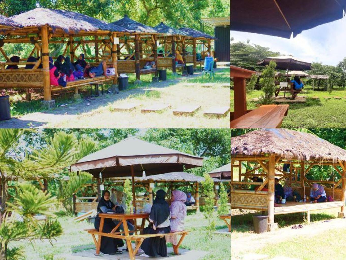Cafe Sawah