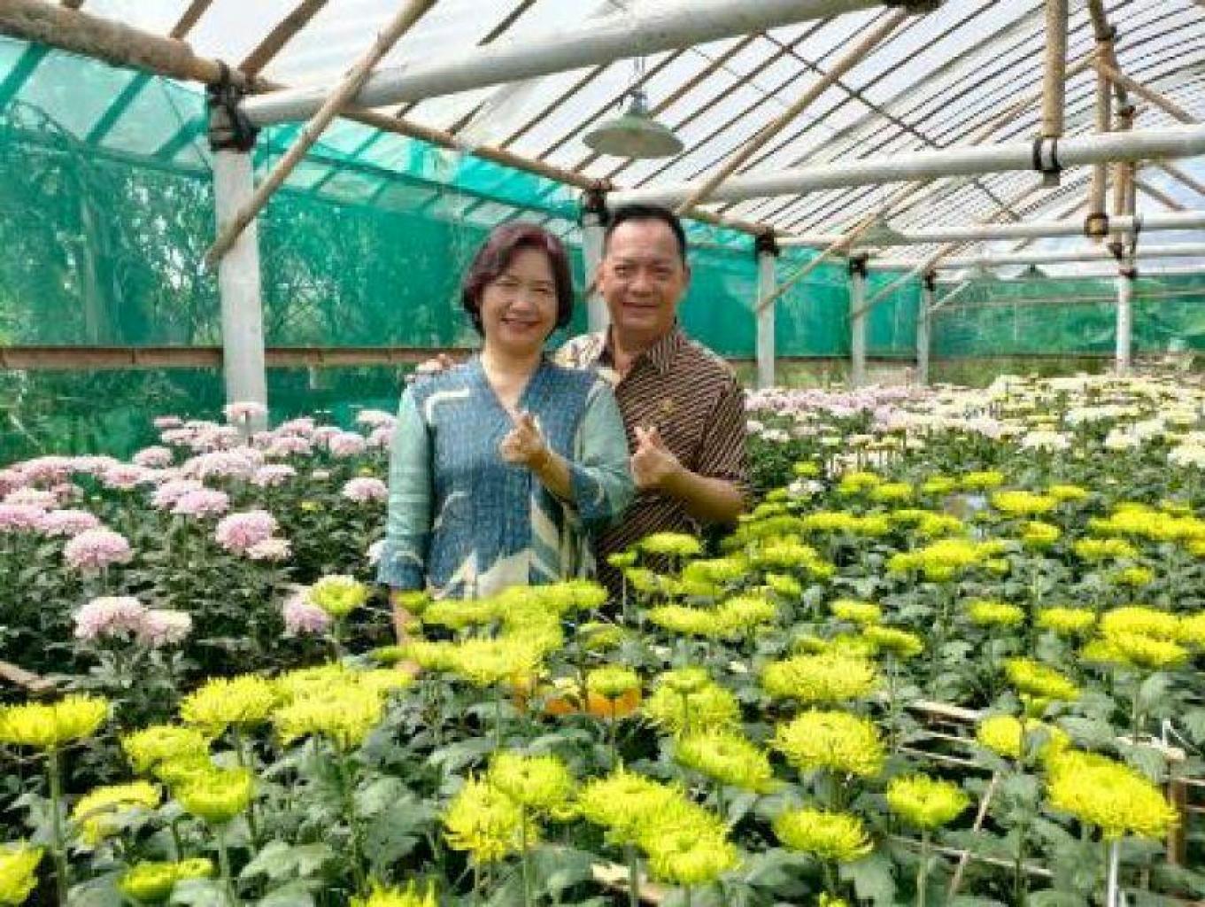 Green House