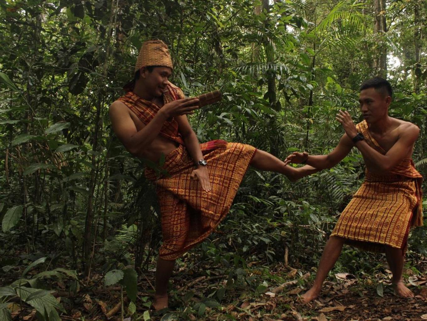 Festival Hutan Adat Mude Ayek Tebat Benawa