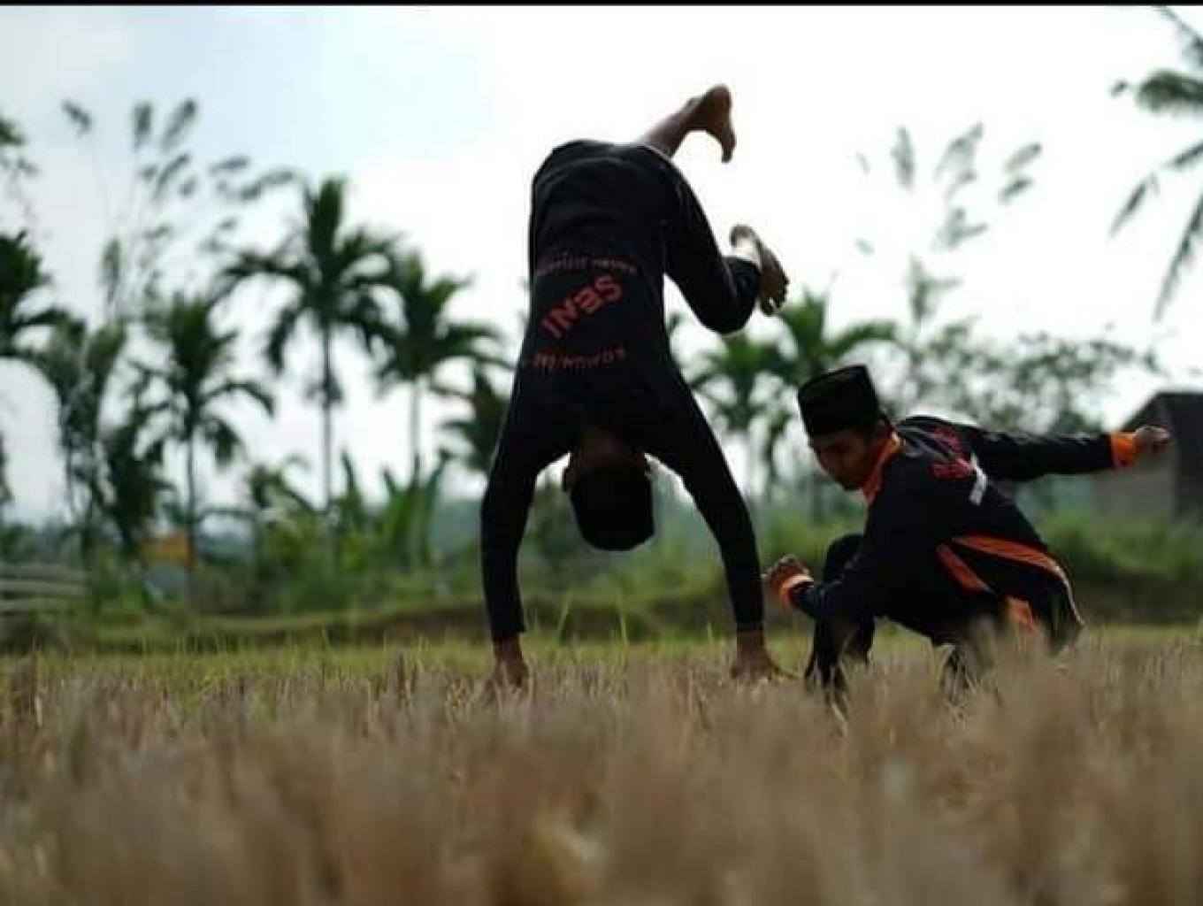 Silat Harimau