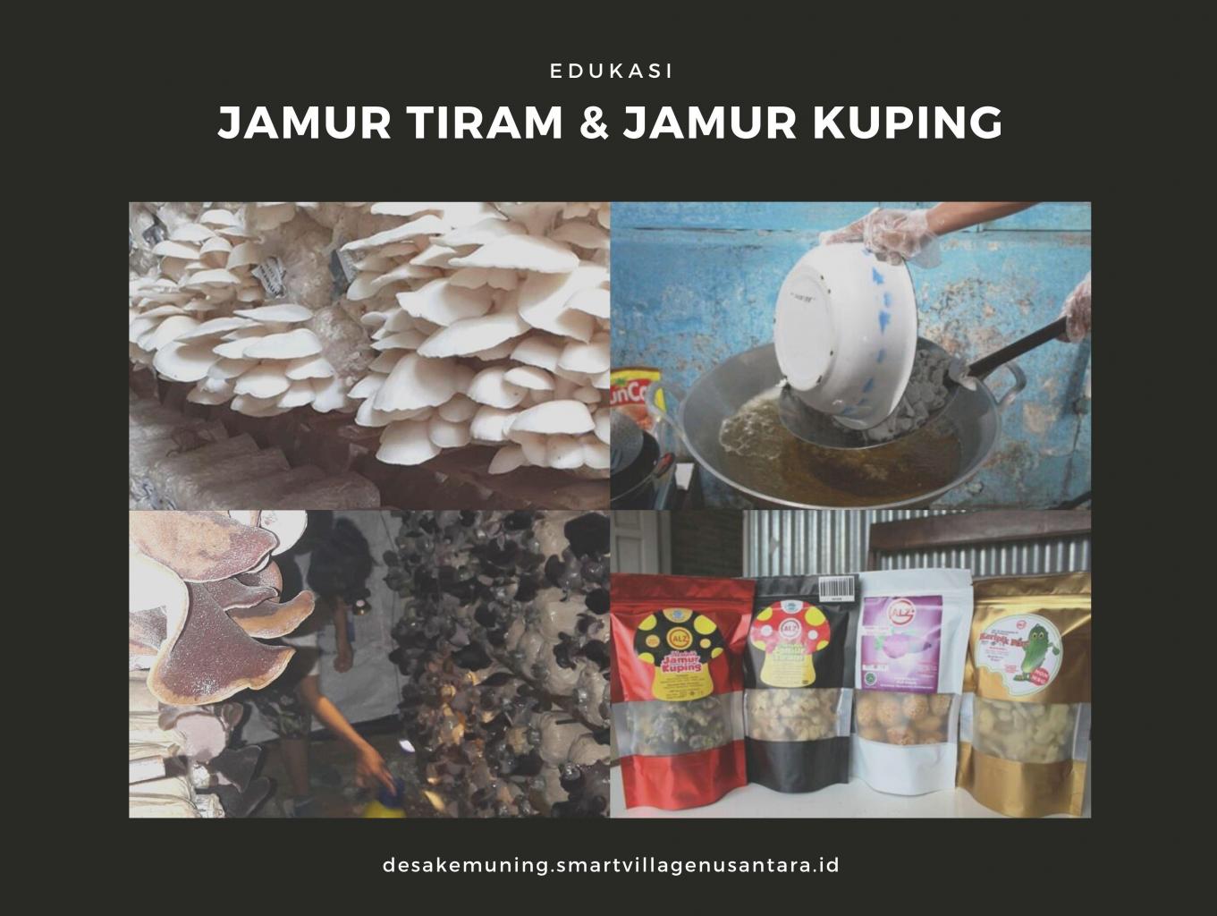 Edukasi Jamur