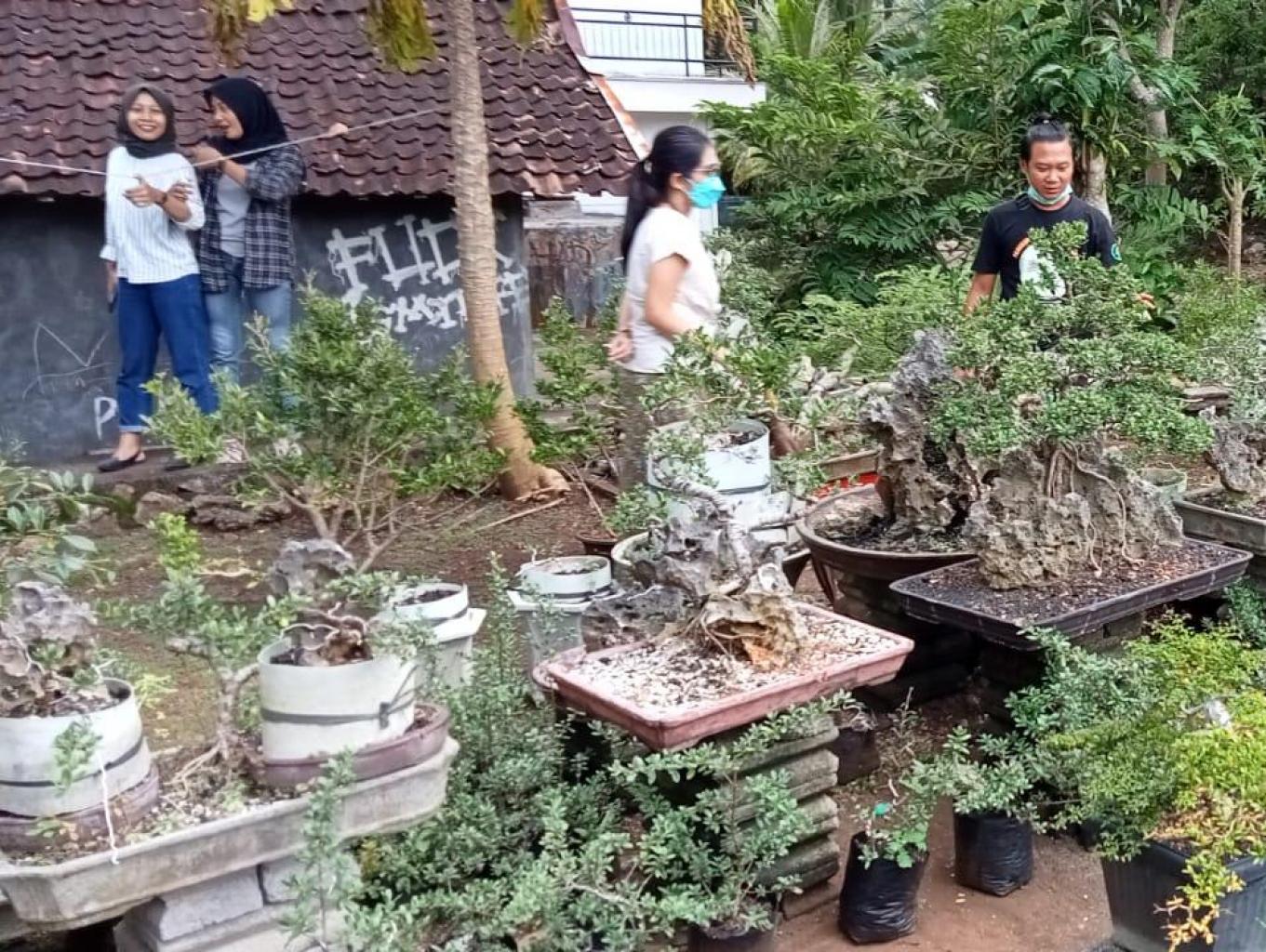 Kampung Bonsai