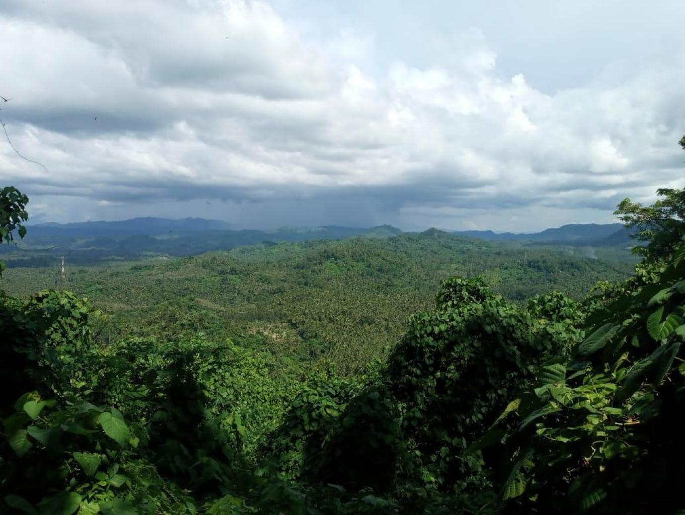 Treking Di Bukit Mokudo