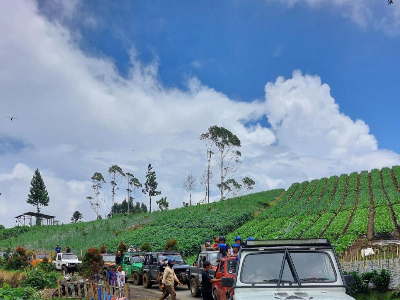 Jeep Wisata