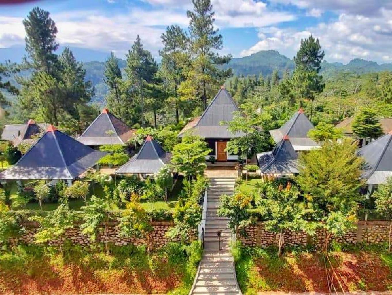 Ghitari Coffee Plantation