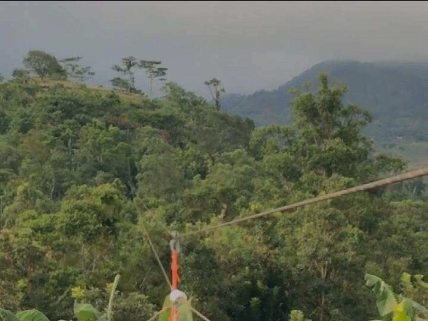 Flying Fox