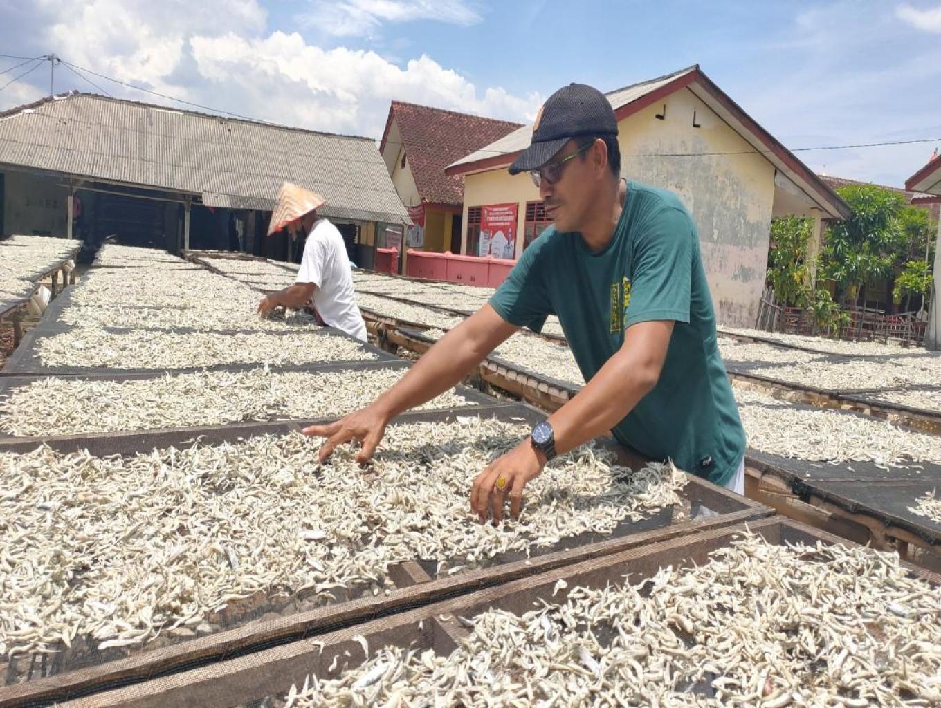 Ikan Teri Kang Toto