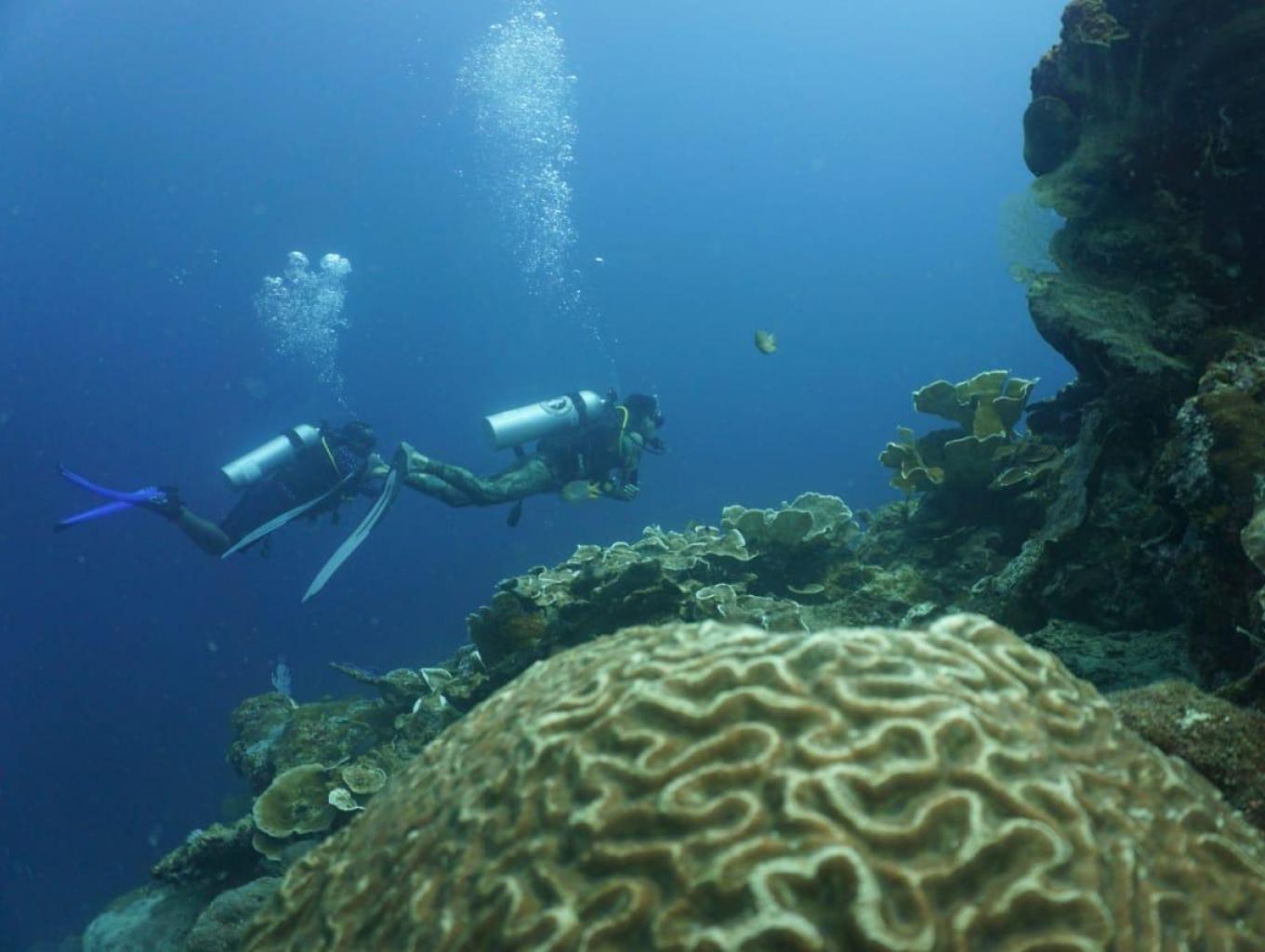 Spot Diving
