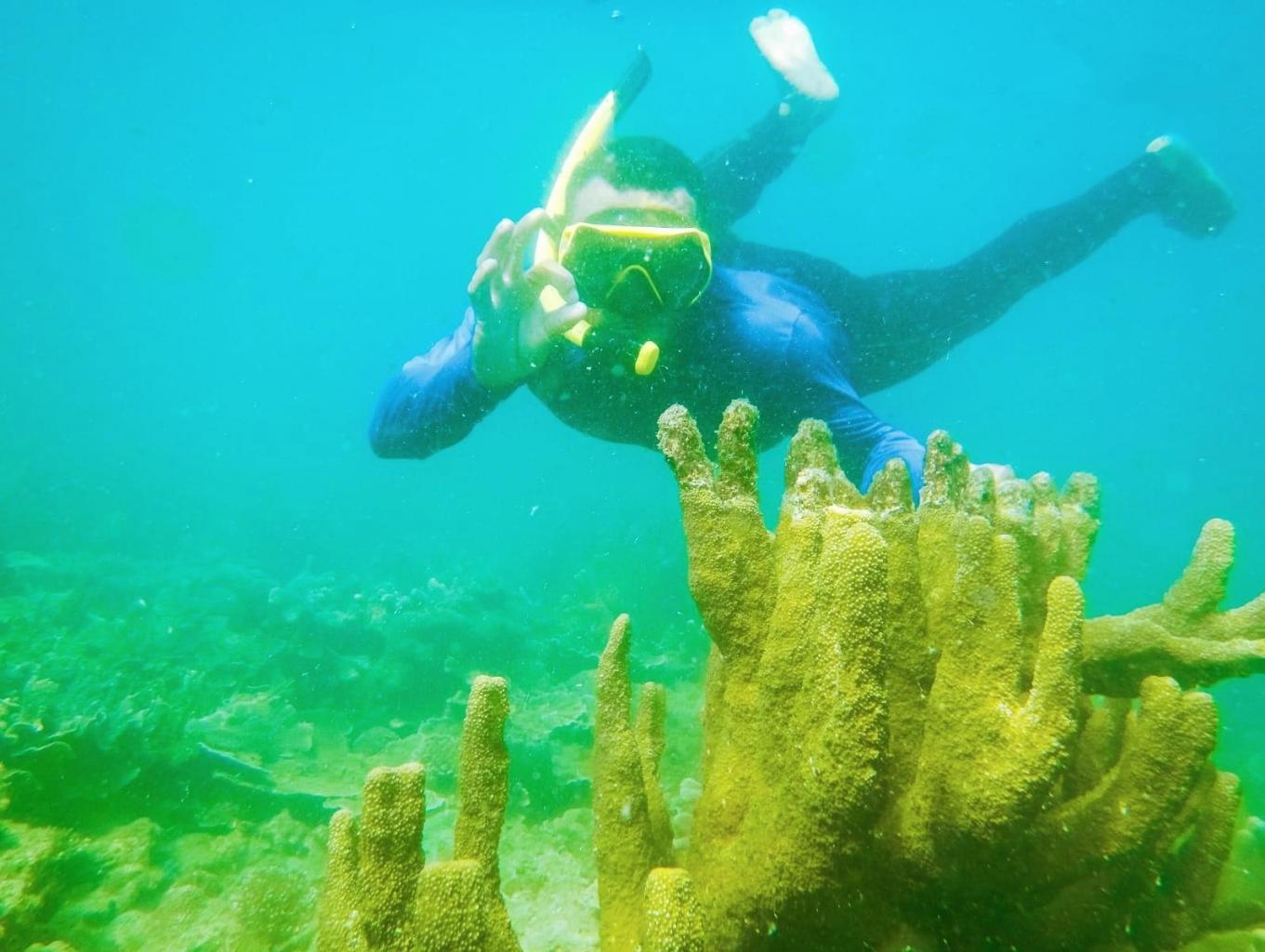Snorkleing