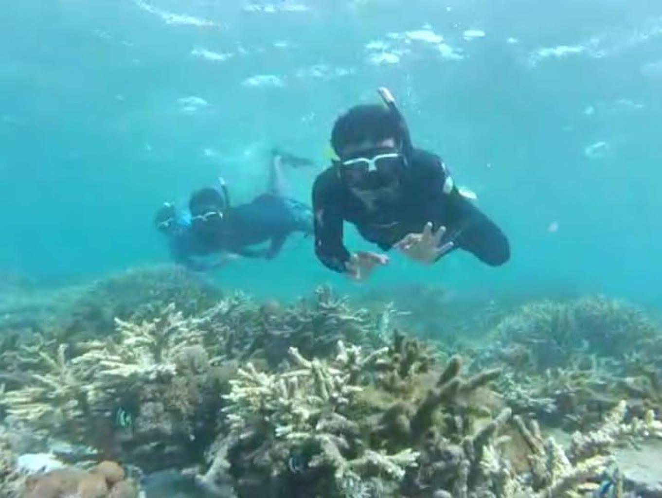 Wisata Bahari Snorkling Labuhan Lombok