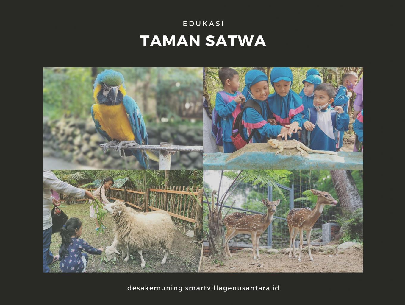 Edukasi Taman Satwa
