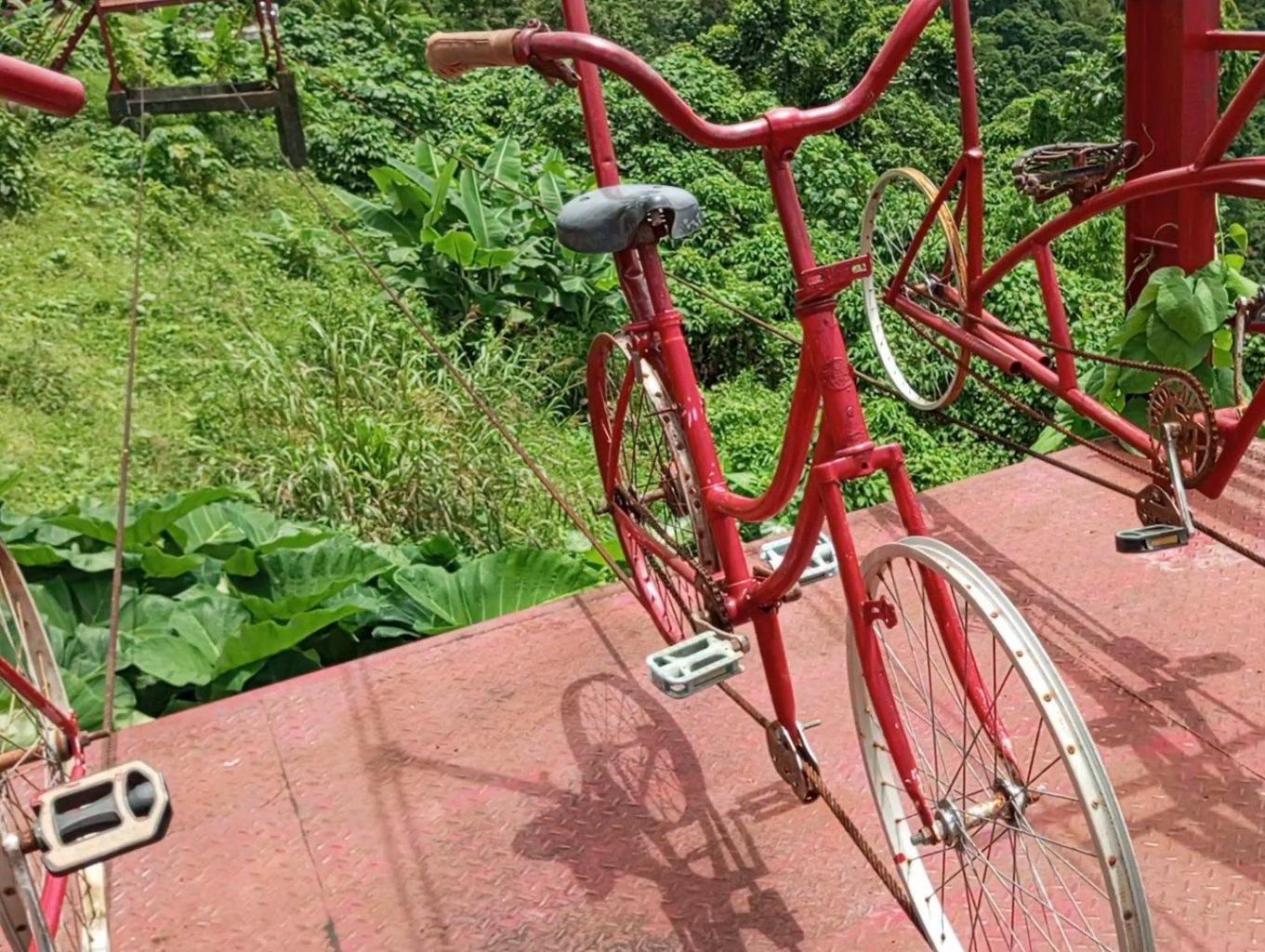 Flying Bike