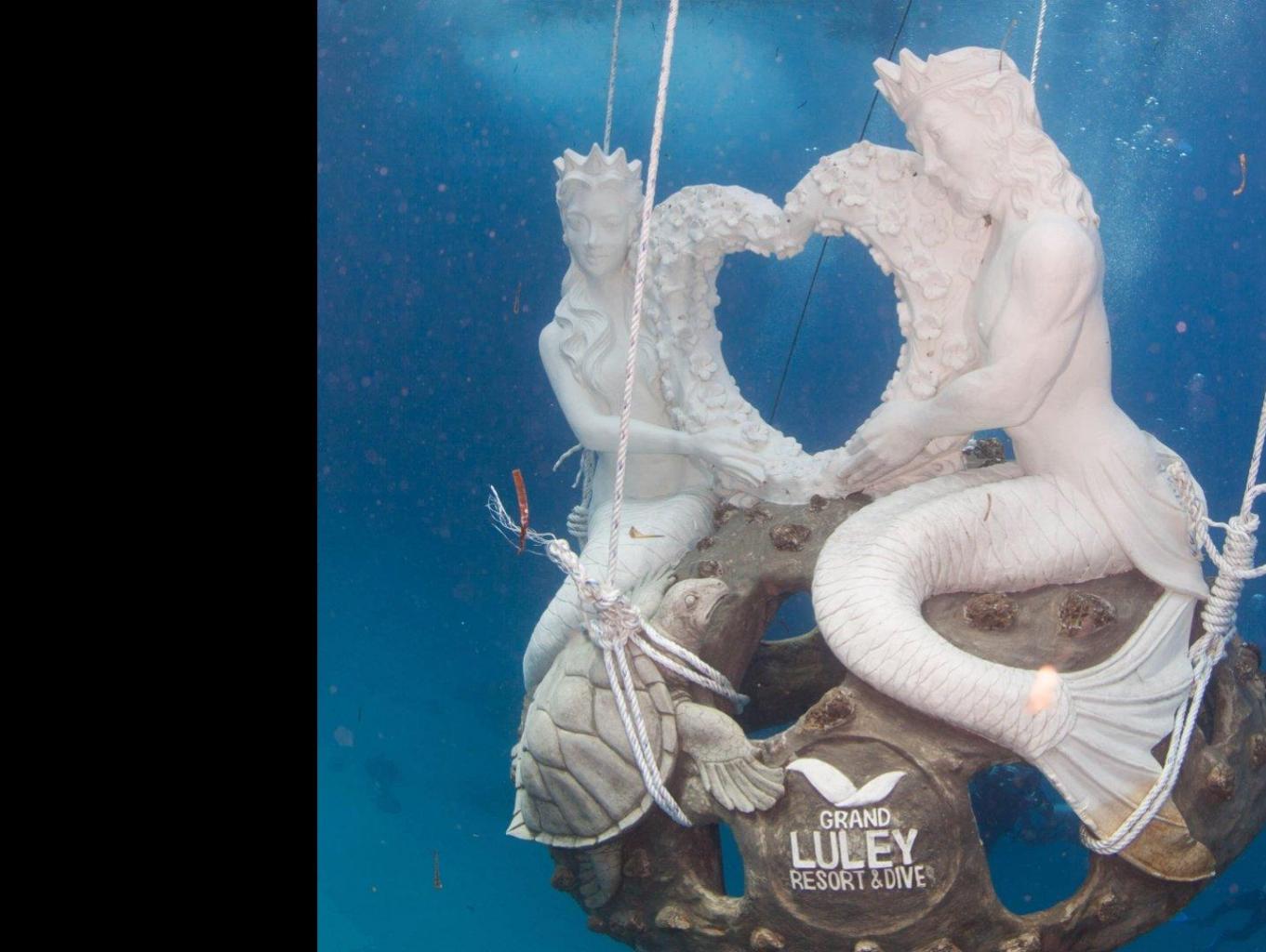 Mermaid Spot Diving