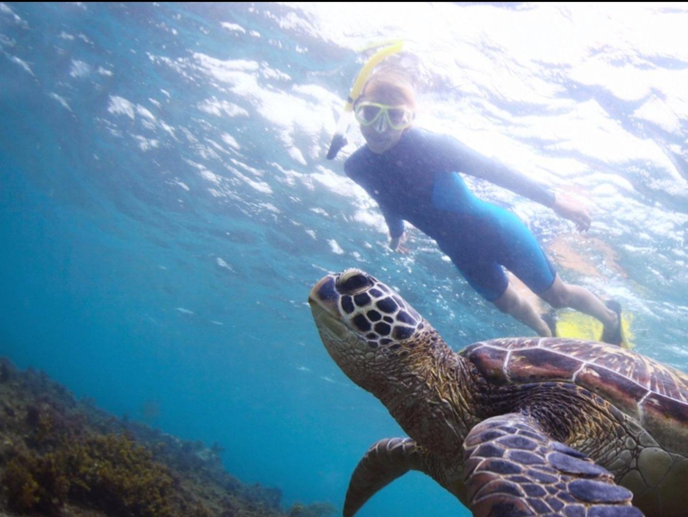 Snorkling Area