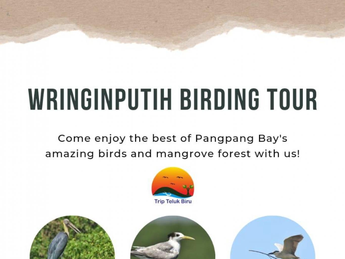 Birding Tour