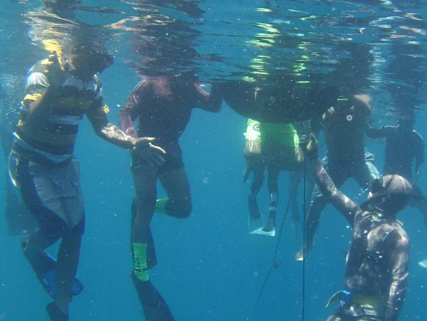 Fun Dive Freedive