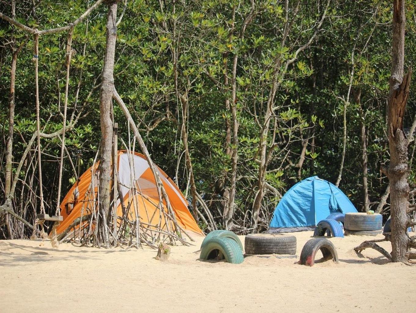 Camping/kemah Di Tengah Hutan Mangrove