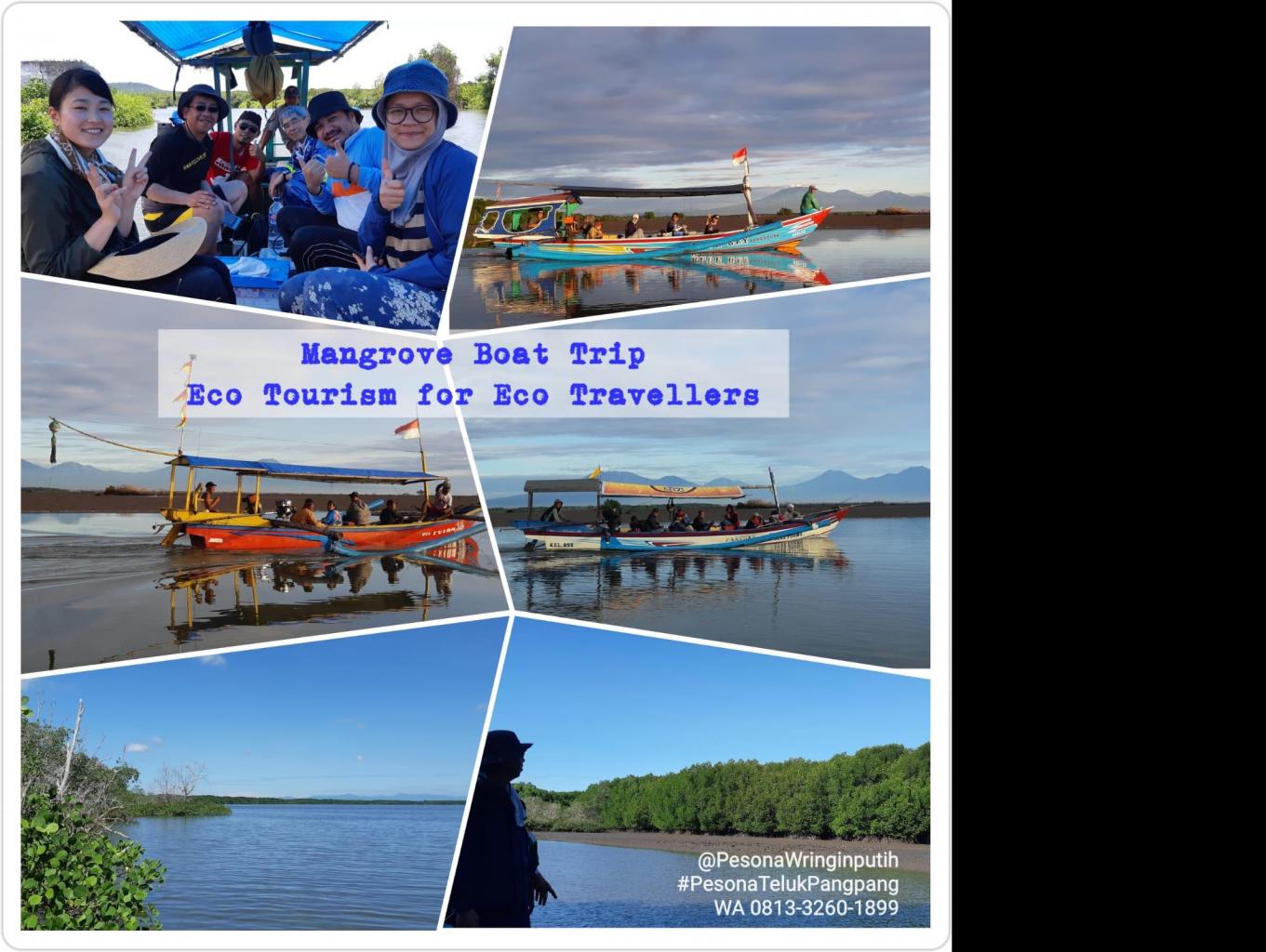 Mangrove Boat Trip