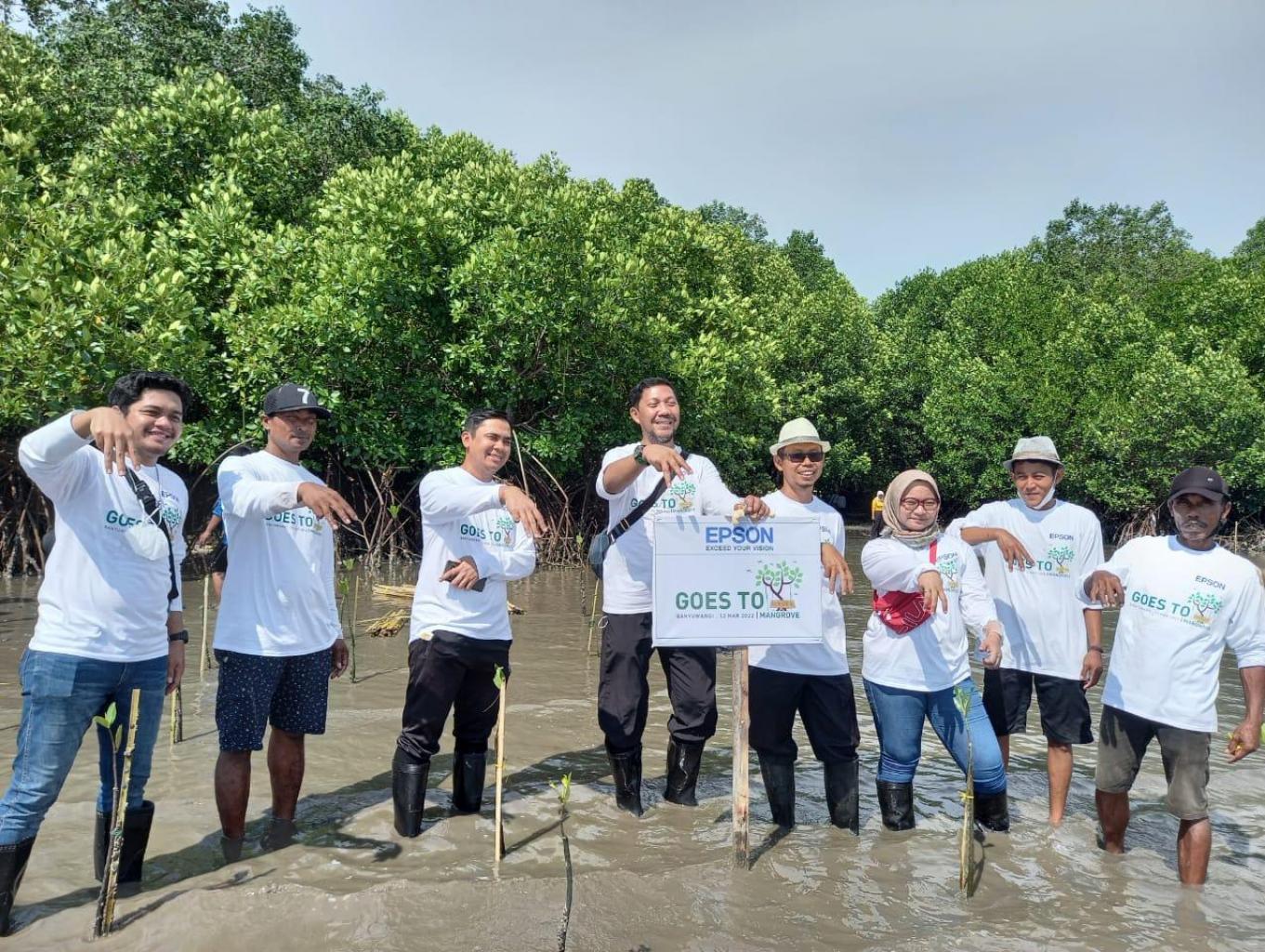 Mangrove Planting