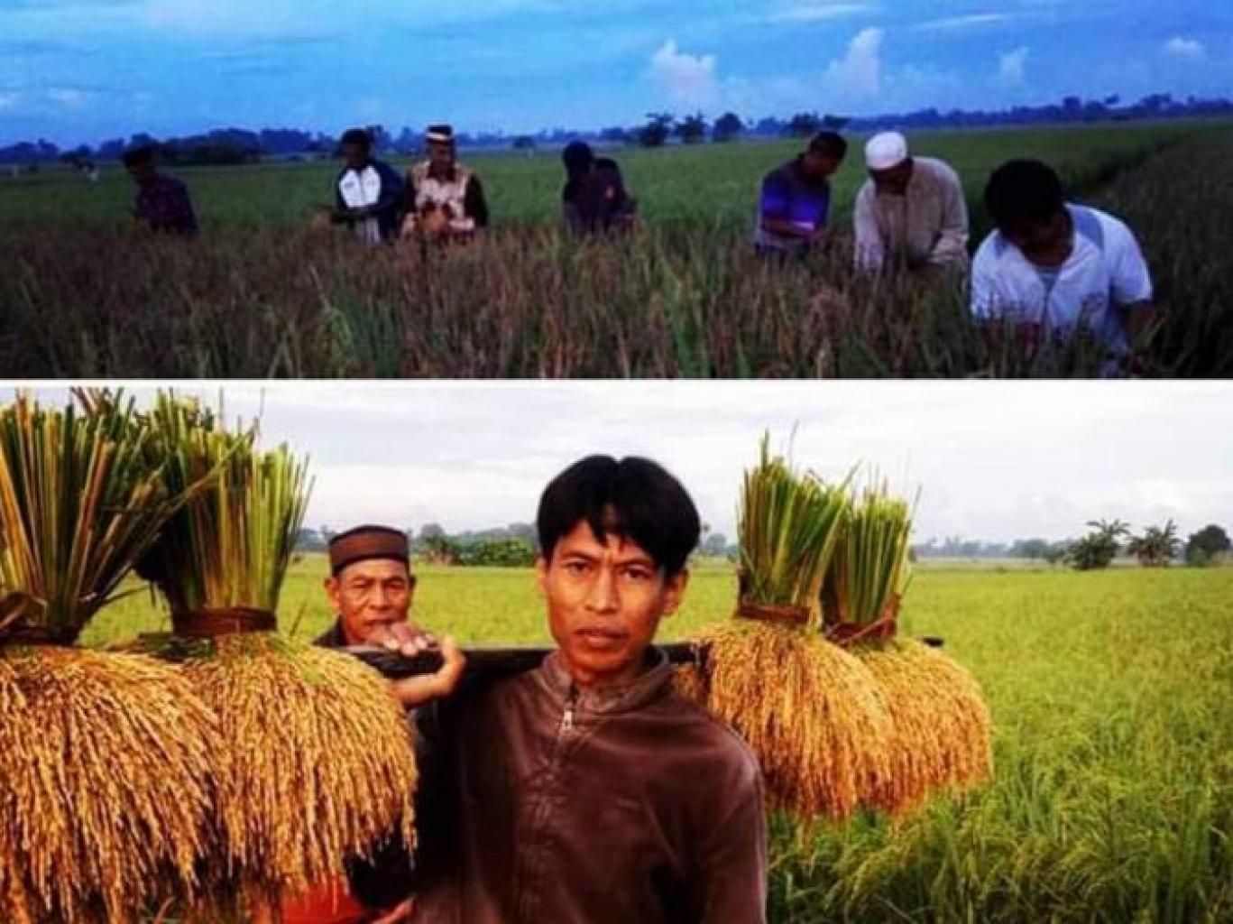Tradisi Appakaramula