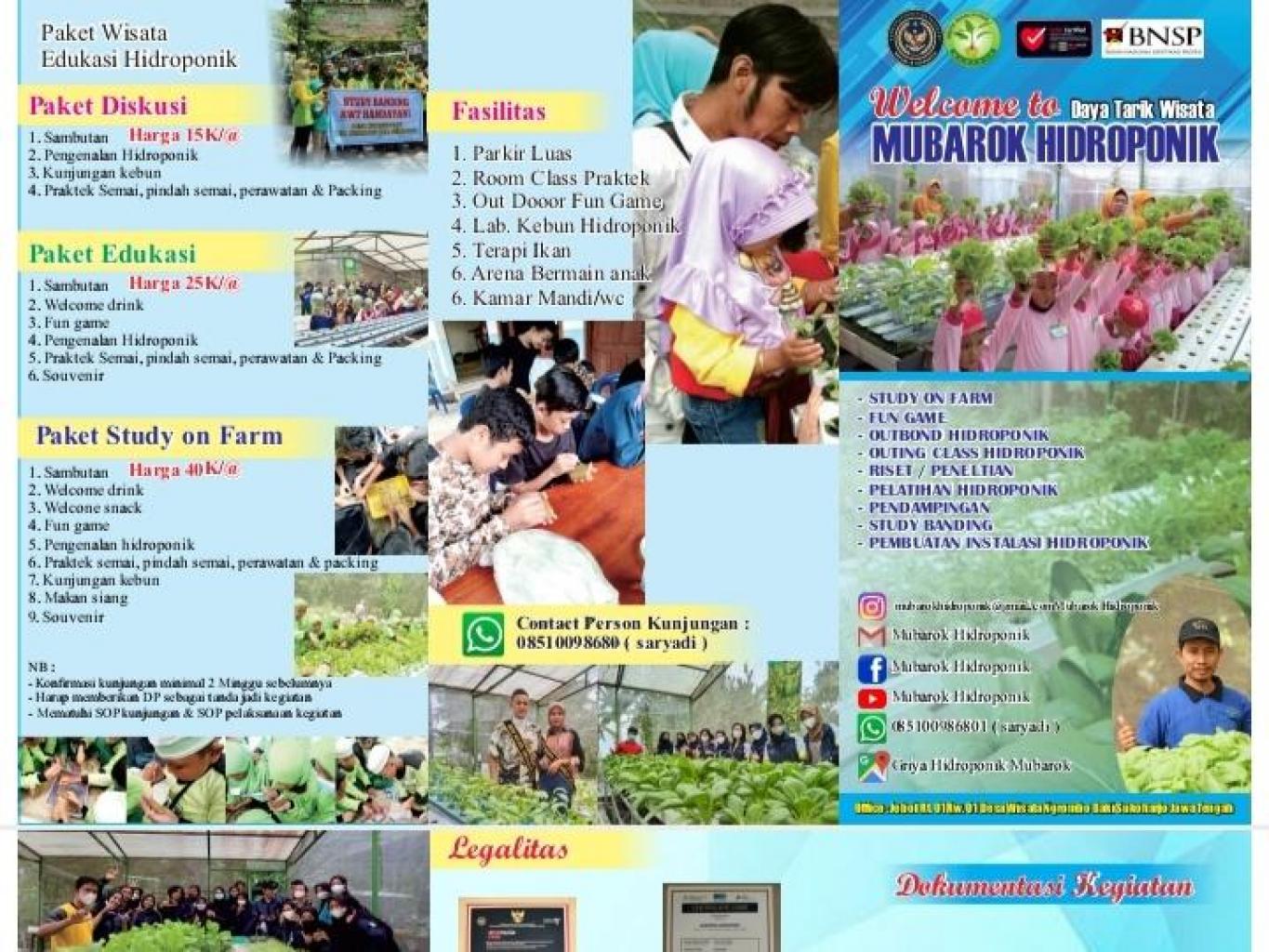 Study Hidroponik
